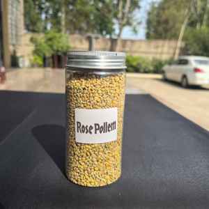 Polvo de Polen de Abeja de Rosa Natural - Grado Alimenticio, Alta Calidad, Suministro de Fábrica para Nutrición Diaria a Precio Competitivo - Product Image 1