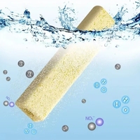 Support filtrant durable pour bactéries nitrifiantes avec 1300 ° Procédé de frittage C, support céramique fiable pour biofiltre d'aquaculture