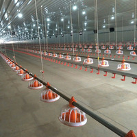 Hangar de volaille Free Range Poulet de chair Équipement d'agriculture au sol avec ligne automatique de casserole potable et d'alimentation de mamelon