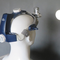Lampe frontale chirurgicale vétérinaire Ginee Medical 5W réglable, certifiée CE, en métal, pour usage dentaire et otologique, lampe frontale électrique ENT