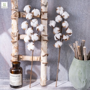 Hot Sale Artificial White 10 Heads Dried <strong>Cotton</strong> Flower Branch Dry <strong>Stem</strong> for Home Christmas Wedding Party Decoration - Product Image 1