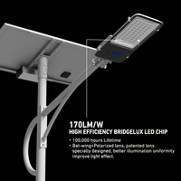 Lumens élevés solaires fendus à C.A. du réverbère de LED 100W IP65 durables pour des zones d'entretien de route