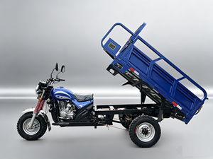 Triciclo <span class=keywords><strong>de</strong></span> Carga Abierto Motorizado a Gasolina <span class=keywords><strong>para</strong></span> Venta <span class=keywords><strong>de</strong></span> Alimentos con Todas las Piezas, <span class=keywords><strong>de</strong></span> Alta Velocidad y Uso Pesado - Product Image 1