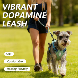 Correa de Nailon Ajustable y Antideslizante de Nunbell Factory, Correa Sólida y Suave sin Tirones, Control con Mosquetón de Aleación de Zinc, Profesional para Perros - Product Image 3