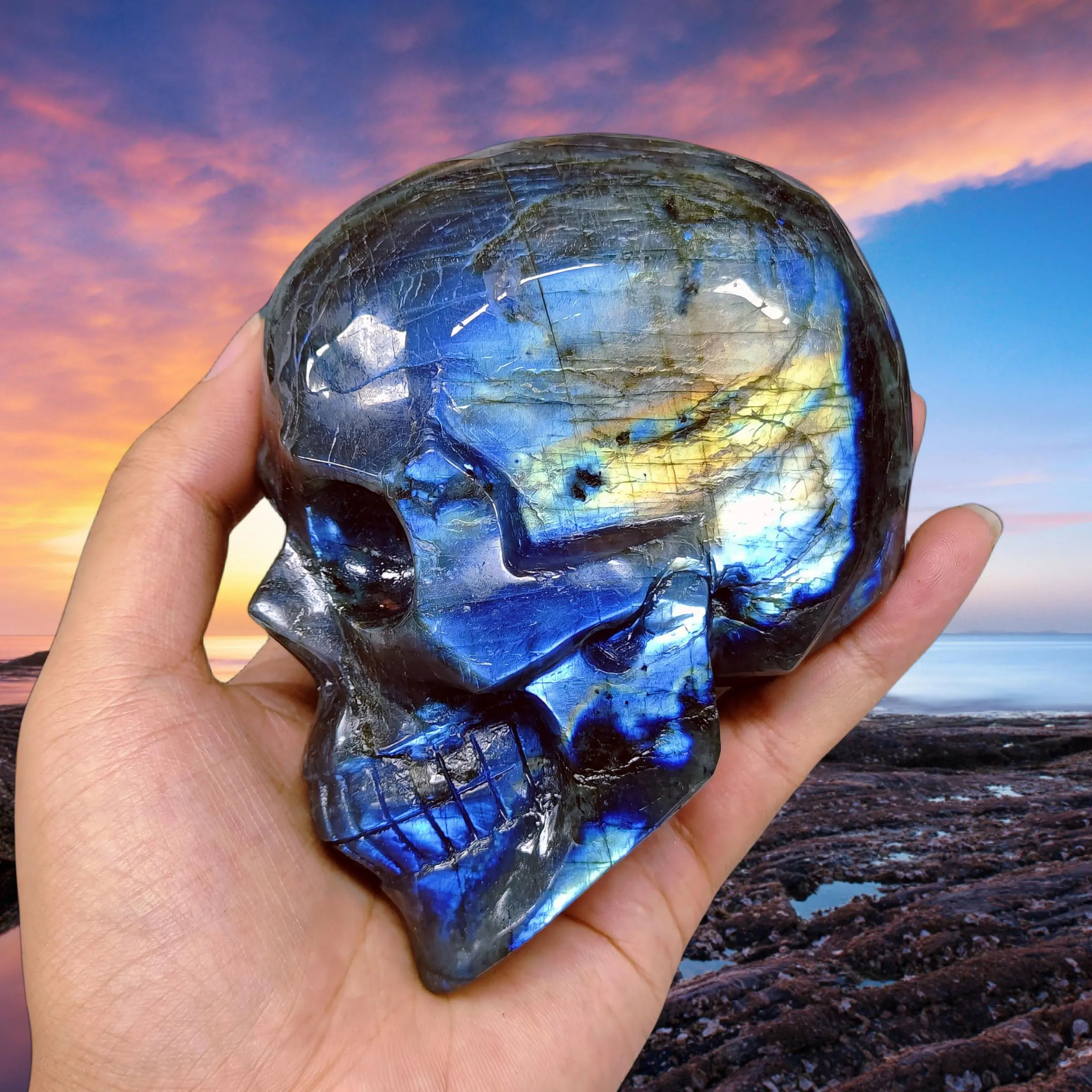 Crâne de labradorite flashy