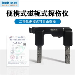 Détecteur de défauts magnétiques AC/DC Leeb Leeb610A pour la détection de fissures, de pores et de défauts internes des métaux - Product Image 3
