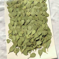 Daun Apel Berbentuk Hati, Bunga Kering Tekan, Bunga Asli Alami untuk Seni Kuku, Resin Segel Buatan Tangan Vakum