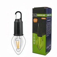 2023 nouveau Offre Spéciale étanche tungstène Led Camping en plein air ampoule lumière Portable suspendu TYPE-C Rechargeable tente ampoule lanterne