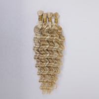 Échantillon gratuit de cheveux vierges en vrac, fournisseur en gros, sans trame pour le tressage, lots de cheveux humains, fournisseur d'extensions à double trame