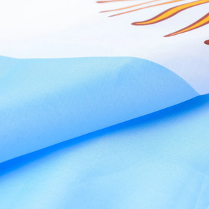 Nuoxin Venta al por mayor <span class=keywords><strong>de</strong></span> poliéster personalizado <span class=keywords><strong>Argentina</strong></span> Bandera Nacional <span class=keywords><strong>Argentina</strong></span> 3x5 pies Banderas promocionales Banners - Product Image 3