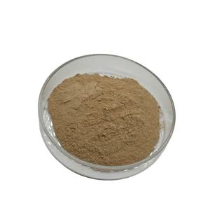 감 탄닌 추출물 탄닌산 식물 추출물 감잎 추출물 - Product Image 4