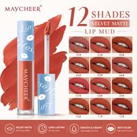 En stock, 12 couleurs, rouge à lèvres liquide mat en velours, longue tenue, haute pigmentation, prix de gros, approvisionnement en vrac, marque privée, maquillage pour les lèvres