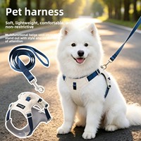 Ensemble laisse et harnais pour chien en tissu Oxford, style gilet, imperméable, anti-traction, pour chiens de taille moyenne et grande