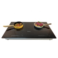 Nouvelle plaque de cuisson à induction électrique double tête 4000W avec commande tactile