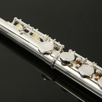 Nickel-Plated 16-Hole C Tuned Flute Western Woodwind Instrument Suitable for Beginners General and Professional Players