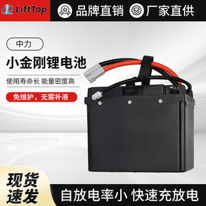 Zhongli Lithium <b>Battery</b> Pack 24V 40Ah <b>48V</b> 20Ah For Electric Forklifts 260x170x220mm LiFePO4 Solid State - Product Image 4