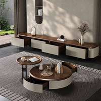 Table basse design minimaliste moderne en forme de feuille, table basse de luxe irrégulière et ensemble de support TV pour salon