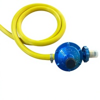 Régulateur manuel basse pression pour butane/gaz GPL avec tuyau et kit de fixation en alliage d'aluminium, réducteur de pression basse température, port 3/8 pouces