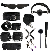Ensemble de 10 accessoires BDSM Netphi avec corde de bondage réglable, bâillon à boule, bandeau et fouet sexuel, jouet sexuel pour femmes et couples