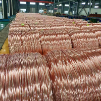 Conductor de cobre estañado trenzado 80 ℃   Cable Electrónico con Aislamiento de PVC de 300V, Resistente a Altas Temperaturas