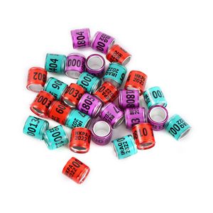 Bijoux de pied de Pigeon en argent <span class=keywords><strong>2022</strong></span>, boucles d'oreilles avec mot, anneau de course Durable de qualité, outil d'entraînement pour les oiseaux - Product Image 1