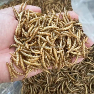 Vente en gros d'aliments naturels à haute teneur en protéines pour animaux de compagnie Insecte comestible Ver de farine séché pour oiseaux Poissons d'aquarium - Product Image 1