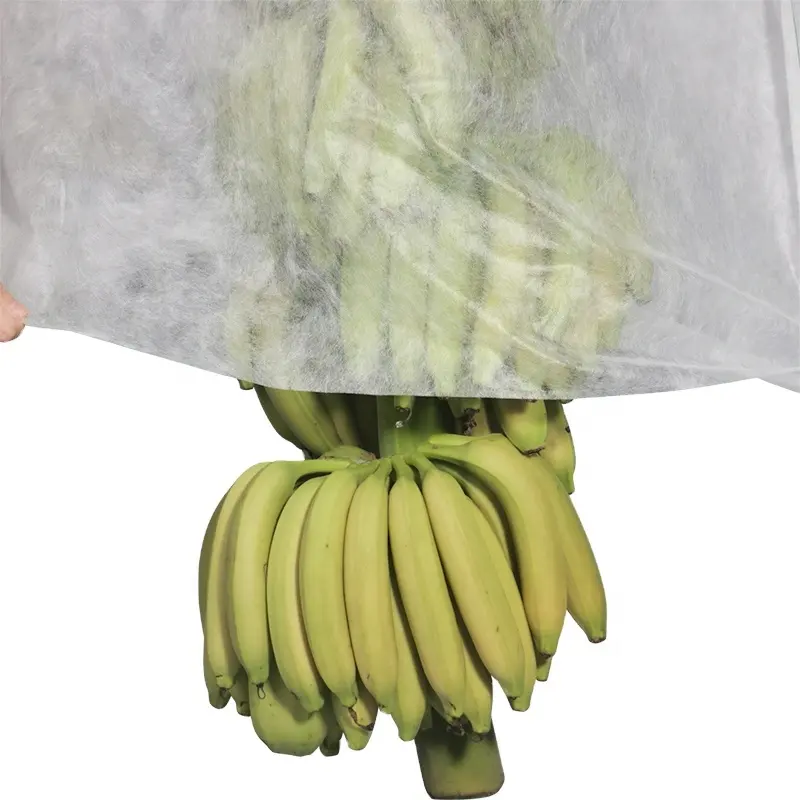 Mulch plástico biodegradável saco tampa tampa do cacho de banana banana