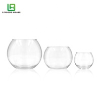 Pot de Poisson en Verre Rond Clair, Vente Chaude, Plusieurs Tailles, pour Plantes ou Bonsaïs, Vente en Gros