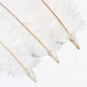 Feather Crafts Colored Ostrich Drabs Feathers 12 in For Carnival Costumes