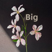 3D-Flammenorchidee, künstliche Seidenblumen, Veranstaltungsort, Blumenarrangements, Schaufensterdekoration, Heimdekoration, Fotografie