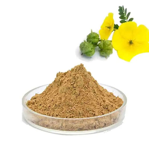 Chất lượng cao Tribulus terrestris saponin 90% Tribulus terrestris chiết xuất cho nam giới sức sống bổ sung - Product Image 1