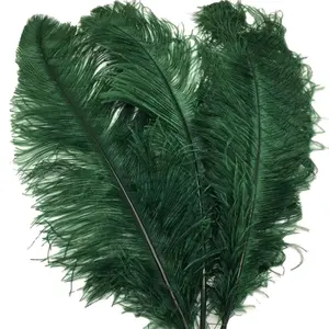 Hot Selling 65-70cm Breeding Feathers Large Dark Green Ostrich Feathers for wedding or party