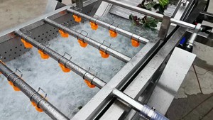 Ozone System Lavadora De Frutas Industrial Fruit Bubble Washing Machine Ozone System Lavadora De Frutas Industrial Fruit Bubble - Product Image 5