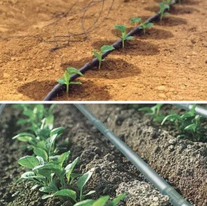 Tuyaux d'irrigation <span class=keywords><strong>goutte</strong></span> <span class=keywords><strong>à</strong></span> <span class=keywords><strong>goutte</strong></span> agricole, système d'irrigation <span class=keywords><strong>goutte</strong></span> <span class=keywords><strong>à</strong></span> <span class=keywords><strong>goutte</strong></span>, 500 m, <span class=keywords><strong>tuyau</strong></span> d'irrigation <span class=keywords><strong>goutte</strong></span> <span class=keywords><strong>à</strong></span> <span class=keywords><strong>goutte</strong></span> en plastique écologique - Product Image 3