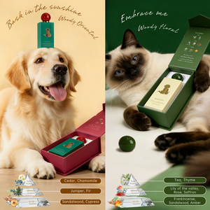 アオポカブランド2種類の香り100ml犬猫用香水オリジナルアルコールフリー消臭スプレーミストデオドラント長時間持続ペット香水 - Product Image 3