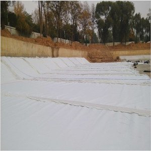 Prix du tissu de drainage <span class=keywords><strong>géotextile</strong></span> <span class=keywords><strong>200g</strong></span> Tissu filtrant <span class=keywords><strong>géotextile</strong></span> Géofabrics Tissu non tissé <span class=keywords><strong>Géotextile</strong></span> - Product Image 2