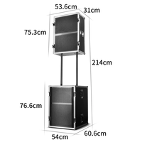 Depusheng LS12 double haut-parleurs de système Audio professionnel de 12 pouces pour le cinéma familial KTV