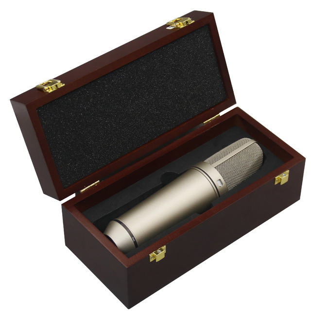 87 Ai Large Diaphragm Condenser Mic Including Shock Mount and XLR Connection Ideal for Home Studio Recording
