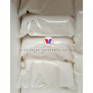 Leche de Coco en Polvo Instantánea |   Textura Fina |   Ideal para Bebidas y Repostería |   Suministro OEM - Product Image 1