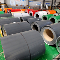 Bobina de Acero Galvanizado Prepintado con Color Personalizado RAL SGCC 0.25-1.2mm 1200mm de Ancho