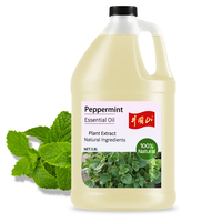 Échantillon Gratuit Huile Essentielle Pure de Menthe Poivrée Revitalisant Cutané pour Tous Types de Peau Menthe Arvensis Extrait Végétal en Vrac