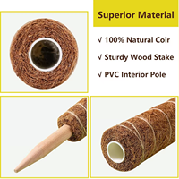 Poteau de soutien durable en fibre de coco pour plantes grimpantes de maison et de jardin - Bâton de mousse pour extension de jardinage