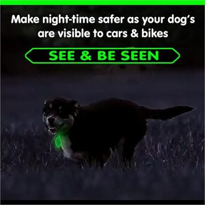 Collier lumineux en silicone vert phosphorescent pour petits animaux, avec pendentif rond gravable pour animaux de compagnie, style mode - Product Image 3