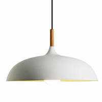 Lampe suspendue moderne de style nordique en métal pour plafond, idéale pour cuisine et restaurant, vente en gros Zhongshan