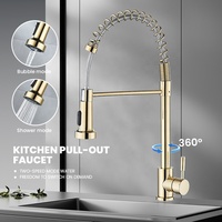 Robinet de cuisine classique flexible en acier inoxydable avec douchette extractible double fonction, deux sorties d'eau, pivotant à 360°, en céramique dorée