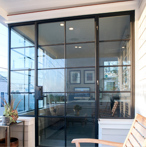 Phong Cách Mới Thiết Kế Thép Cửa Sổ Cửa Sổ Cửa Sắt Và Cửa Sổ Nướng crittall Pháp Ban Công Patio Cửa - Product Image 3