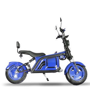 Moto électrique japonaise avec homologation EEC, scooter électrique - Product Image 6