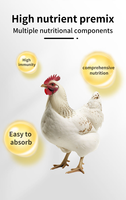 Additif alimentaire Booster pour poulets de chair Prémélange avec vitamines de croissance accrue pour animaux Additifs alimentaires pour améliorer la croissance