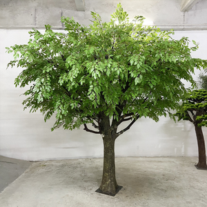 Interior paisaje Artificial árbol verde Radermachera <span class=keywords><strong>Sinica</strong></span> árbol felicidad árbol Decoración - Product Image 5