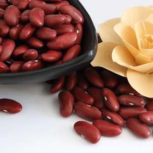 Yeni kırpma üst gdo içermeyen % 100% organik zengin Protein kurutulmuş büyük barbunya - Product Image 4